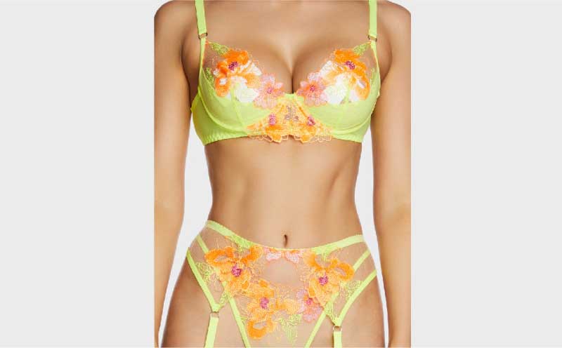 Lencería Bordada (Sujetador y Panty)