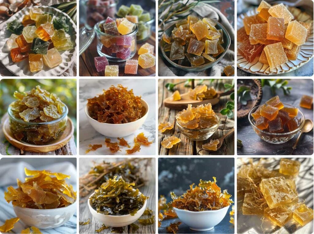 Probar gomitas de musgo marino por su valor nutricional