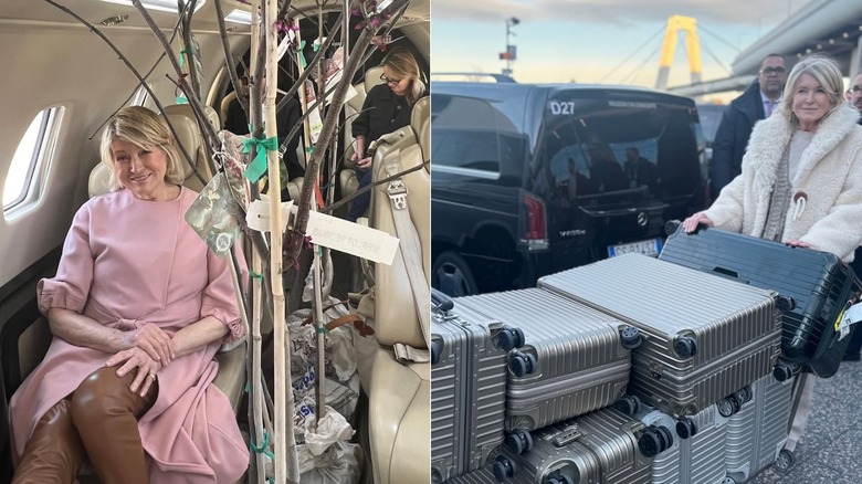 Martha Stewart volando en un avión privado y Martha Stewart empujando varias maletas