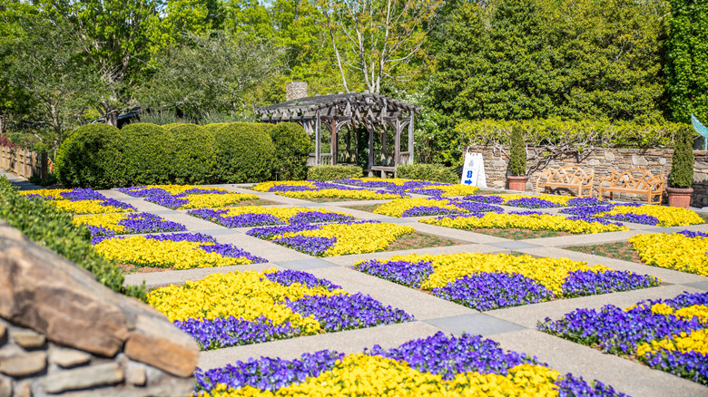 colorido jardín de colchas con flores amarillas y moradas