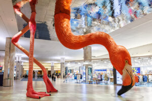 Lo que tienen en común los tres aeropuertos mejor valorados de Estados Unidos en 2026