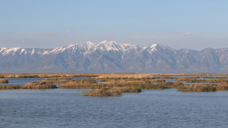 Montañas sobre el río en el Centro de Aves Migratorias de Bear River en Brigham City, Utah