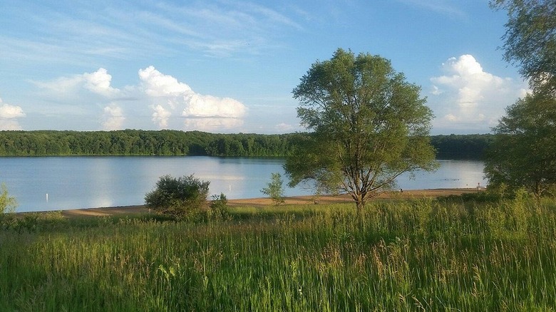 Una toma de Eagle Lake y sus verdes alrededores en el área recreativa de Fort Custer, Michigan