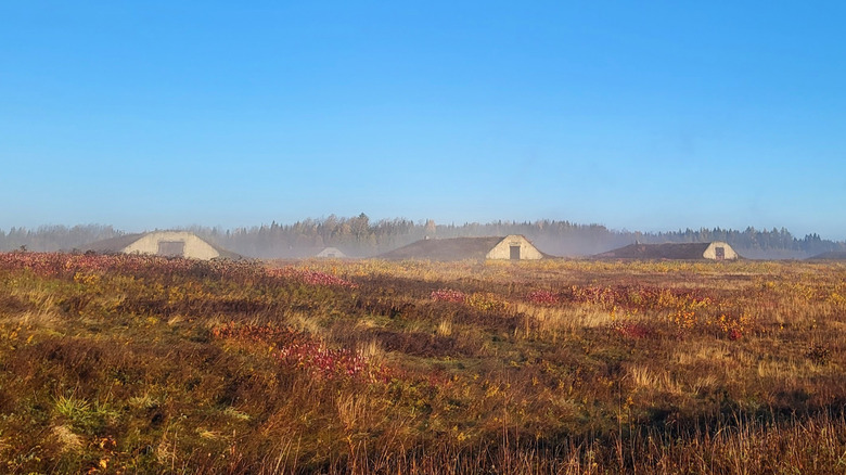Viejos búnkeres en un claro en el Refugio Nacional de Vida Silvestre Aroostook en Maine