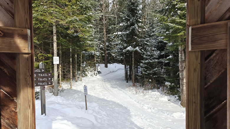 Un sendero nevado y señales de sendero en el Refugio Nacional de Vida Silvestre Aroostook en Maine