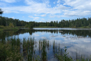El ‘corazón verde’ de Maine es un extenso refugio lleno de vida silvestre