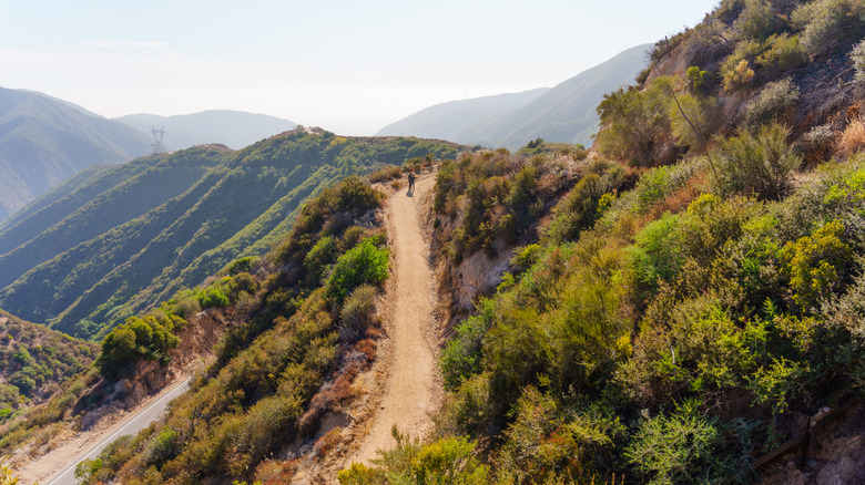 Un excursionista en un sendero sobre los picos del Bosque Nacional Ángeles