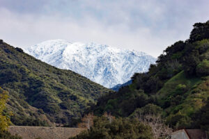 El impresionante bosque nacional de California en las afueras de Los Ángeles ofrece vistas a las montañas, lugares para acampar y senderos