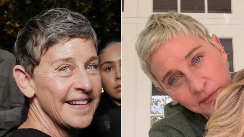 Ellen DeGeneres en una fiesta con el pelo natural y en casa con Portia De Rossi, de rubio