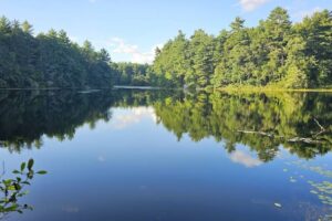 Ubicado entre Boston y Providence, se encuentra el bosque estatal de Massachusetts para practicar ciclismo de montaña, montar a caballo y hacer senderismo.
