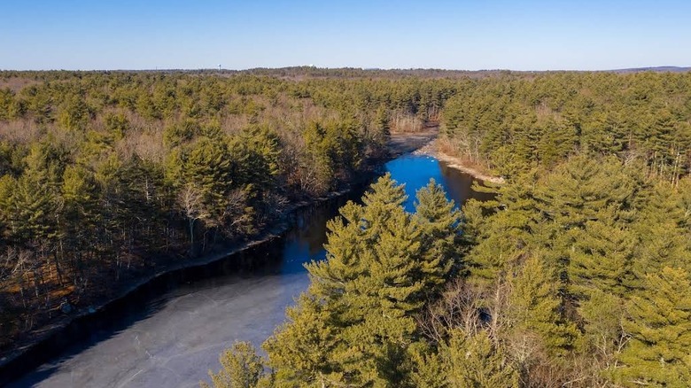 Coloridas hojas de otoño en el Bosque Estatal F Gilbert Hills