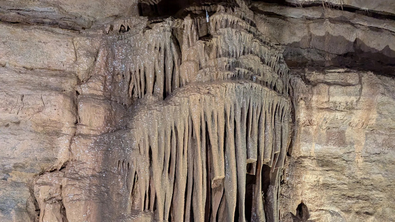 Explorando la cueva en Forestville/Mystery Cave State Park