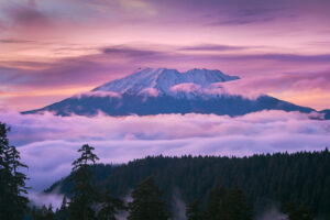 Ubicada entre Seattle y Portland, se encuentra la tranquila zona de senderismo de Washington con vistas al monte St. Helens