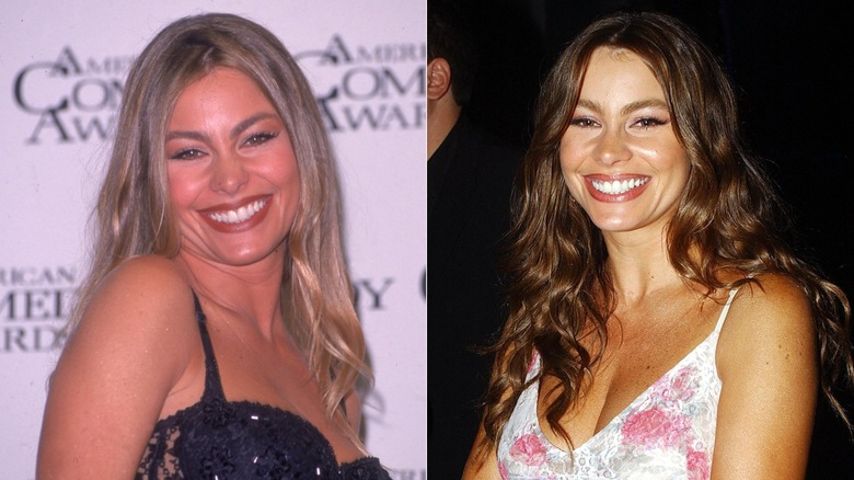 Imagen dividida de Sofía Vergara sonriendo de rubia a la izquierda y de morena a la derecha.