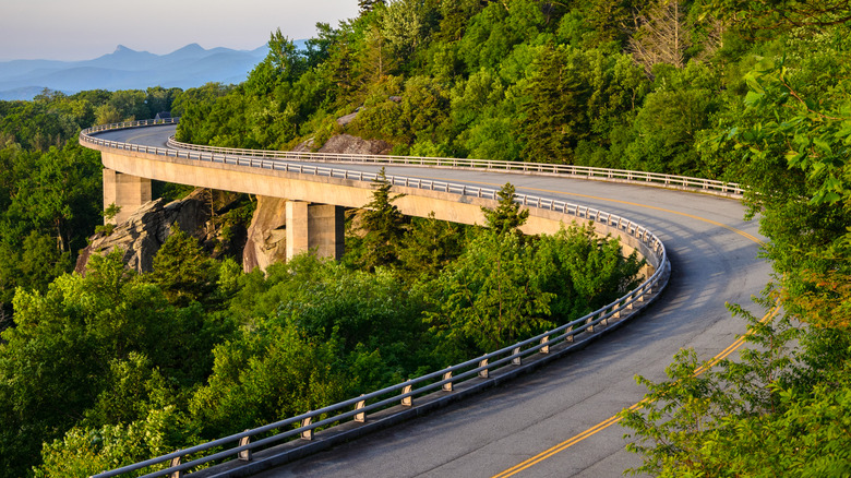Un camino sinuoso a lo largo de Skyline Drive en Virginia, rodeado de exuberante vegetación y montañas brumosas en la distancia.
