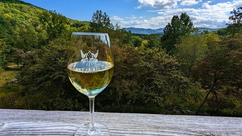 Vistas de una copa de vino en una repisa con vista a un paisaje pintoresco en Virginia, con colinas al fondo.