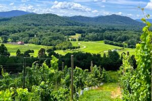 La encantadora ciudad de Blue Ridge en Virginia es un escape sereno para bodegas acogedoras y aventuras al aire libre inigualables