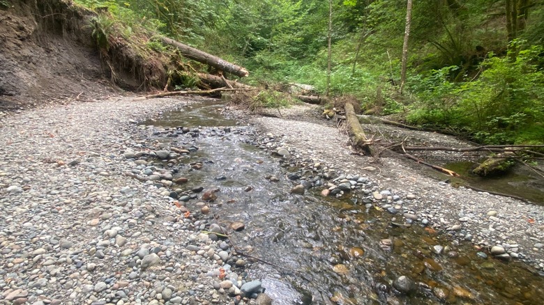 Un arroyo que fluye a través de un terreno rocoso, con árboles verdes al fondo