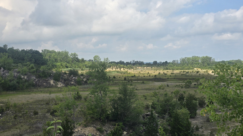 Vista de Oakes Quarry Park, con árboles en colinas alrededor de un área de pastos y arbustos escasos