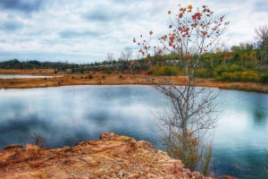 La alguna vez próspera cantera de Ohio cerca de Dayton es ahora un hermoso parque natural con senderos, fósiles y vida silvestre
