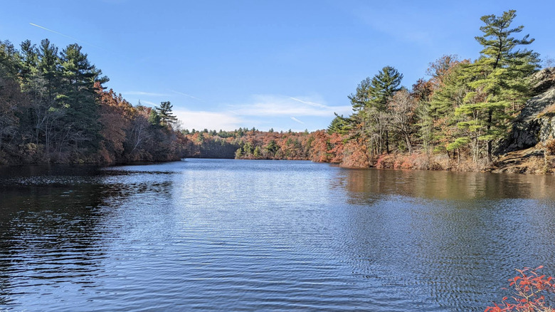 Lago y árboles en la Reserva Breakheart, Massachusetts