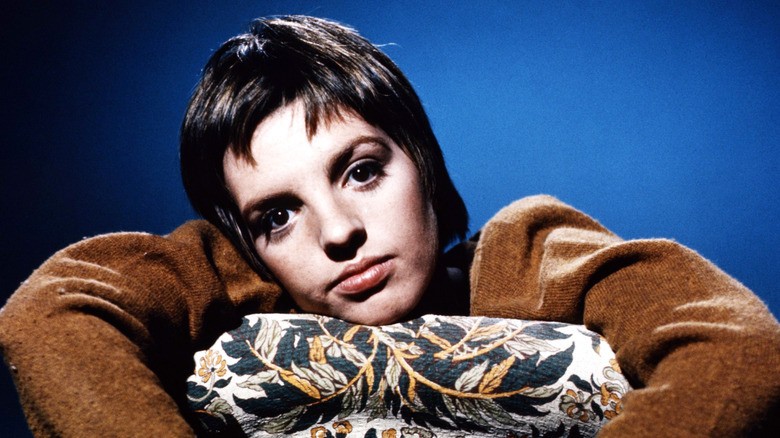 Liza Minnelli posa con la cabeza hacia un lado con un top marrón sobre un fondo azul.