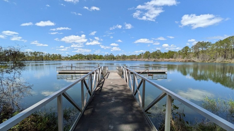 Muelle de pesca rodeado de agua y vegetación en Seminole State Forest, Florida