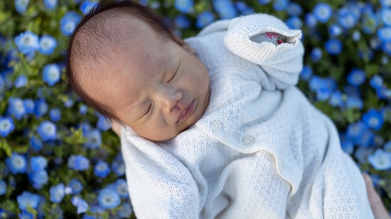 Una foto de un bebé en un campo de flores.