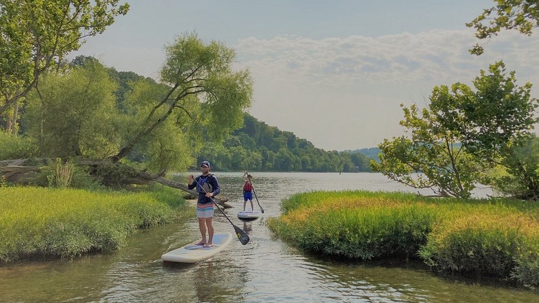 Un adulto y un niño sobre tablas de remo blancas en el canal de un río entre dos masas de tierra cubiertas de vegetación, con colinas arboladas al fondo bajo un cielo azul nublado