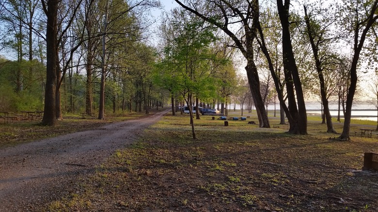 El sendero que conduce a los campamentos en Anderson Lake SFWA, intercalado con árboles cerca del lago