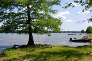 La pintoresca zona del lago humedal de Illinois permite acampar y pescar entre águilas calvas y pelícanos