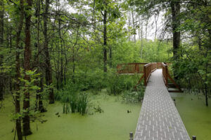 Entre Indianápolis y Bloomington se encuentra el refugio de humedales de Indiana para disfrutar de vida silvestre rara, observación de aves y un sendero sereno