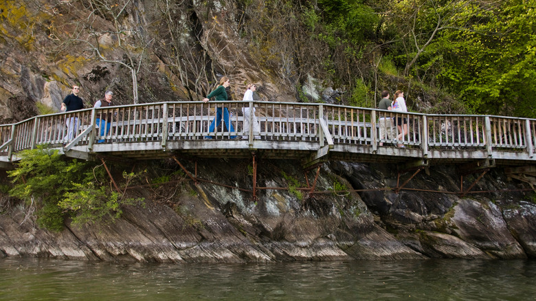 Gente caminando por el paseo marítimo sobre el agua en el Ijams Nature Center en Knoxville, Tennessee