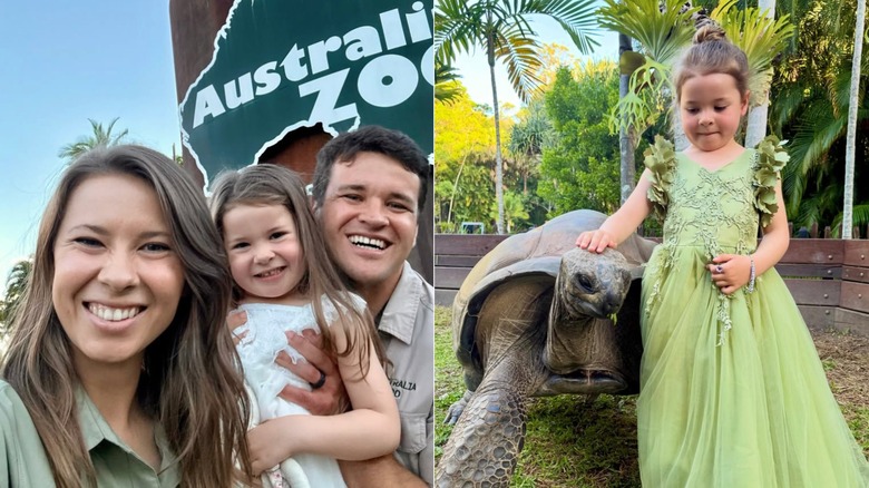 Las fotos una al lado de la otra muestran a Bindi Irwin posando con su hija Grace y su esposo Chandler Powell (izquierda) y una foto de Grace posando con una tortuga (derecha).