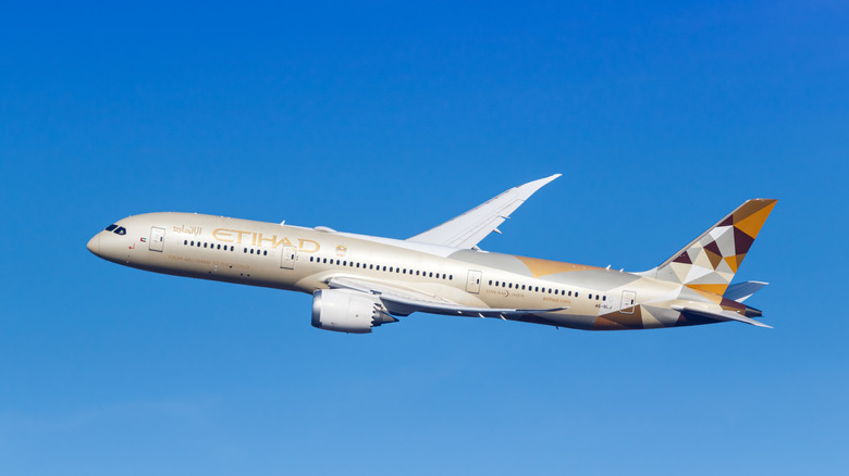 Un avión de Etihad Airways aterriza en Berlín, Alemania