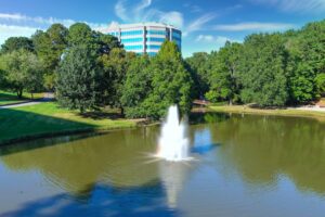 El próspero suburbio de Atlanta en Georgia es una ciudad tranquila repleta de deliciosa cocina y tiendas locales