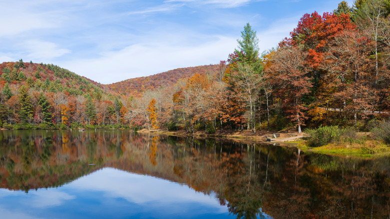 Los árboles de otoño reflejándose en el lago Winfield Scott en el área recreativa del lago Winfield Scott, el Bosque Nacional Chattahoochee-Oconee, Georgia