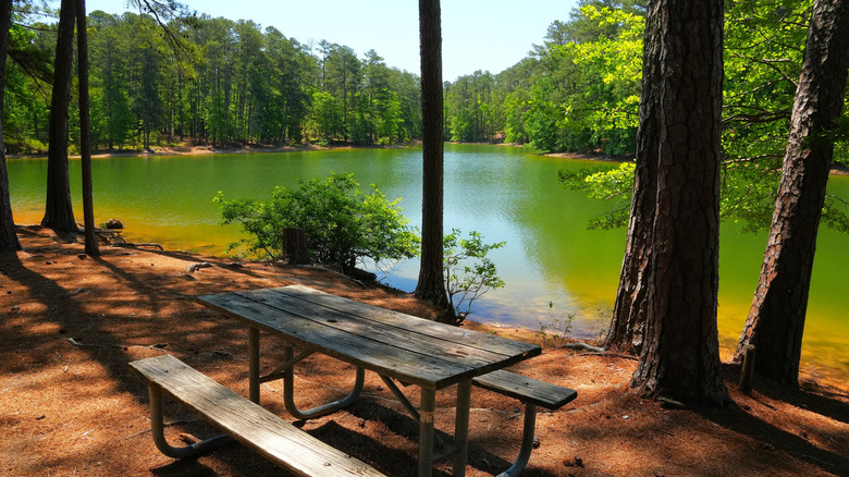 Escena junto al lago en el camping en Red Top Mountain State Park Georgia