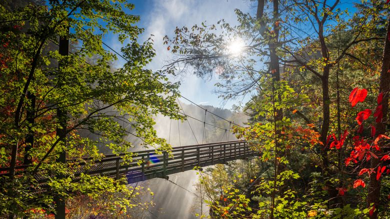 Un puente cerca de Tallulah Falls, Georgia, EE.UU. con vistas a Tallulah Gorge en la temporada de otoño
