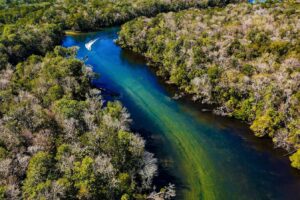 El mejor lugar de jubilación de Florida para 2026 es una comunidad para personas mayores llena de deslumbrantes vías fluviales y vida silvestre