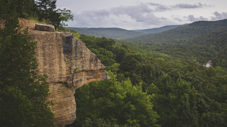 Una imagen atmosférica de Yellow Rock Overlook en el Parque Estatal Devil's Den cerca de West Fork, Arkansas. El mirador está rodeado de árboles verdes ondulados.