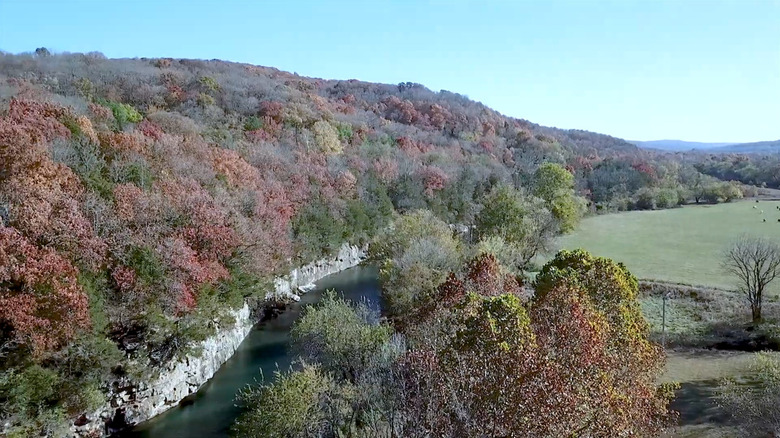 Río rodeado de árboles en otoño en West Fork, Arkansas