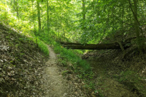 Ubicada entre Indianápolis y Louisville, se encuentra una reserva natural tranquila y montañosa con vistas panorámicas y senderos.
