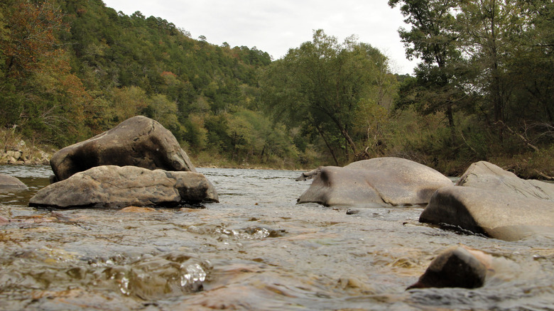 El río Cossatot que atraviesa el parque estatal Cossatot River en Arkansas