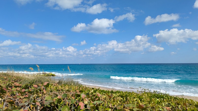 Vista de la costa en Palm Beach, Florida