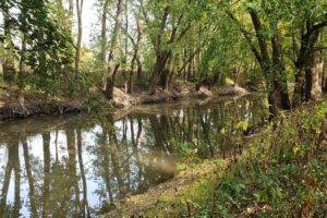 Entre Indianápolis y Peoria hay una pintoresca reserva forestal con vistas al río, pesca y senderismo