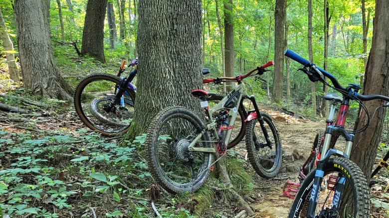 Tres bicicletas sentadas a lo largo de un sendero boscoso para bicicletas de montaña en Fort Duffield