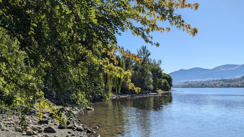 Vista del río Columbia y las montañas a lo lejos desde Kirby Billingsley Hydro Park