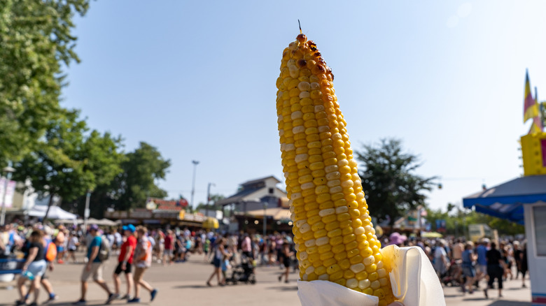 Una mazorca de maíz en la Feria Estatal de Minnesota