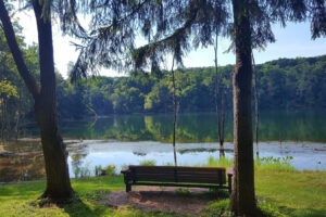Entre Filadelfia y Harrisburg se encuentra la antigua mina de Pensilvania que ahora es un lago cristalino para pescar